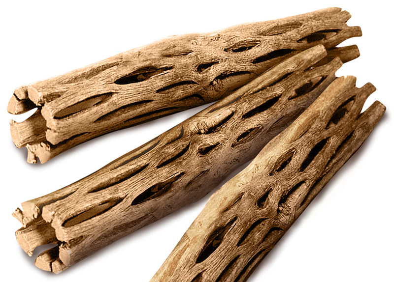 Cholla Wood vagy Suka Wood