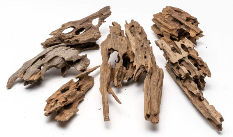 Dragon Wood