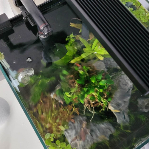 30 liter akvárium