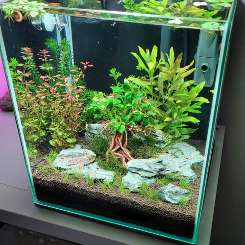 30 liter akvárium