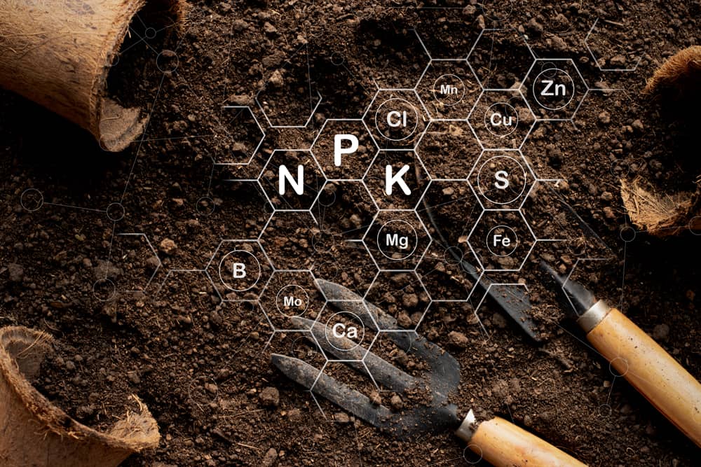 N-P-K = nitrogén (N), foszfor (P) és kálium (K)